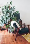Les différents modèles de fauteuils scandinaves : quels sont les styles et les formes les plus populaires ?