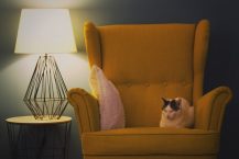 Les fauteuils scandinaves pour une ambiance cocooning dans votre chambre à coucher