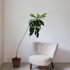 Comment mettre en valeur votre fauteuil scandinave dans la décoration de votre intérieur ?